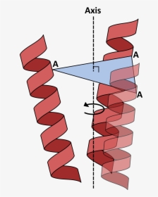Axis Definition - Carmine, HD Png Download, Free Download