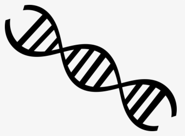 Biology Dna Genetics - Molecula De Dna Desenho, HD Png Download, Free Download