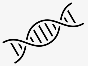 Dna Nucleic Acid Double Helix Genetics Computer Icons - Transparent Dna Helix Png, Png Download, Free Download