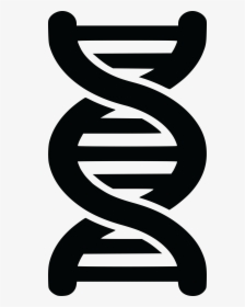 Black And White Dna Png, Transparent Png, Free Download