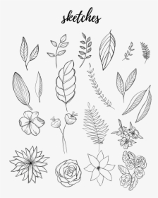 Free Botanical Drawings For Bullet Journaling - Flower Drawings Bullet Journal, HD Png Download, Free Download