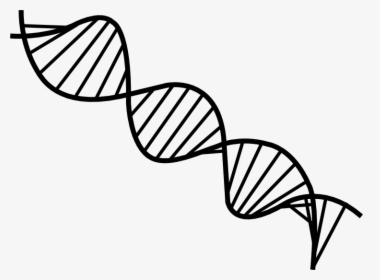 Transparent Dna Clipart Transparent - Transparent Background Dna Png, Png Download, Free Download