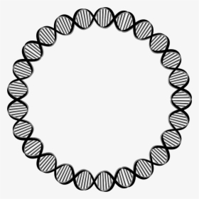 Dna Circle Gene Clip Art - Circle Outline Design Png, Transparent Png, Free Download