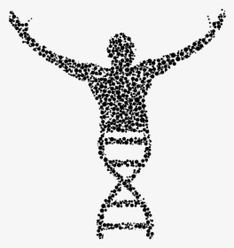 Molecular Biology Dna Clip Art - Biology Png, Transparent Png, Free Download