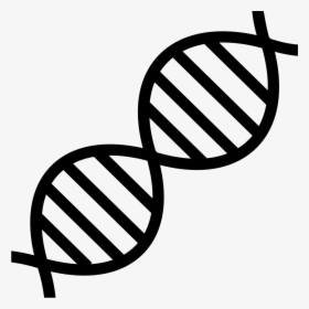 Dna Clip Art Genetics Nucleic Acid Double Helix - Transparent Dna Clipart, HD Png Download, Free Download