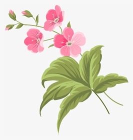 Transparent Beautiful Flowers Png - Botanical Flowers Png, Png Download, Free Download