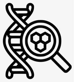 Magnifying Glass Dna Cell - Summary Symbol, HD Png Download, Free Download