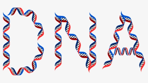 Dna Typography, HD Png Download, Free Download