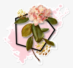 French Botanical Pink Flower Queen Duvet , Png Download - African Violets, Transparent Png, Free Download