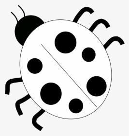 Lady Bug Png - Lady Bug Black And White Clipart, Transparent Png, Free Download