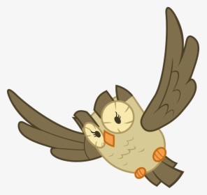 Cooltomorrowkid, Bird, Flying, Owl, Owlowiscious, Pet, - Mlp Owlowiscious, HD Png Download, Free Download