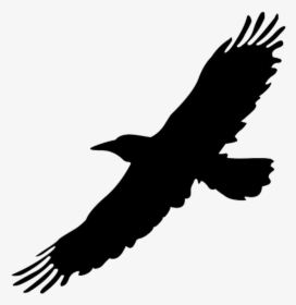 Silhouette Of Flying Big Bird - Flying Bird Silhouette Clipart, HD Png Download, Free Download