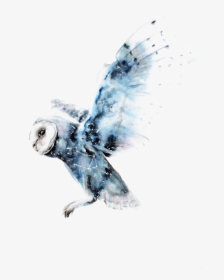 Owl Art Potter Watercolor Harry Painting Drawing - Rabidzen All I Am, HD Png Download, Free Download