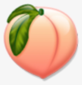 Peach Png, Transparent Png, Free Download