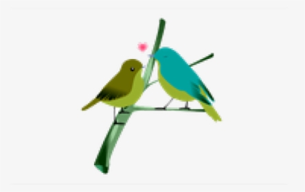Love Birds Png Transparent Images - Love Birds Png, Png Download, Free Download