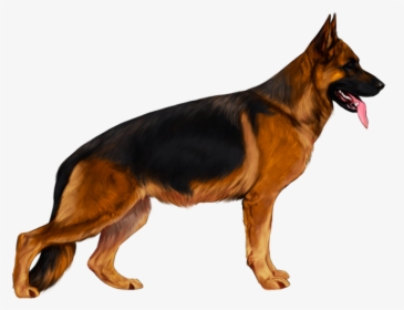German Shepherd Png - German Shepherd Dog Png, Transparent Png, Free Download