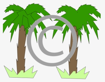 Palm Toon, HD Png Download, Free Download
