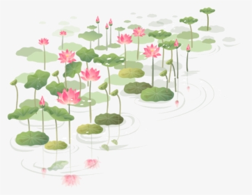 #lilypad - Transparent Sticker Of Flower, HD Png Download, Free Download