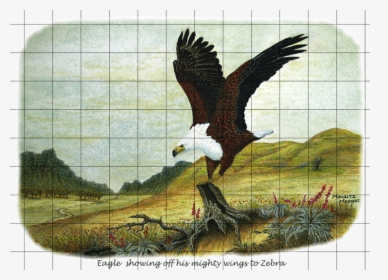 Eagle-gr#wildmoz - Com - Hawk, HD Png Download, Free Download
