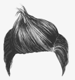 Boys Hair PNG Images, Free Transparent Boys Hair Download - KindPNG