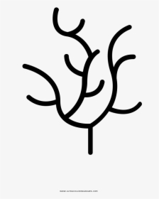 Seaweed Coloring Page, HD Png Download, Free Download
