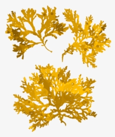 Art, HD Png Download, Free Download