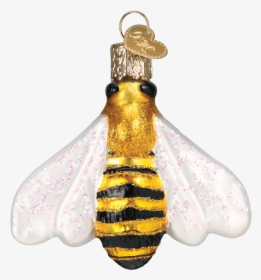 Old World Christmas Honey Bee Ornament, - Bee Christmas Ornaments, HD Png Download, Free Download