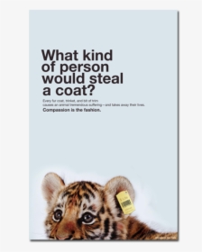 Animal Welfare And Rights Posters, HD Png Download, Free Download