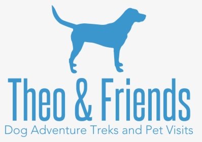 Dog Walking, Pet Sitting, And Adventure Treks By Theo - Hunting Dog, HD Png Download, Free Download