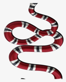 Snake Tattoo Png Transparent Images - Transparent Background Gucci Logo Png, Png Download, Free Download