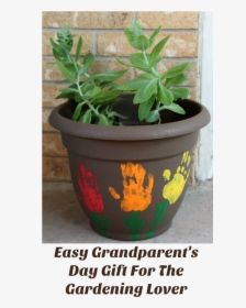 Easy Grandparents Day Gift - Grandparents Day Gifts Plant, HD Png Download, Free Download