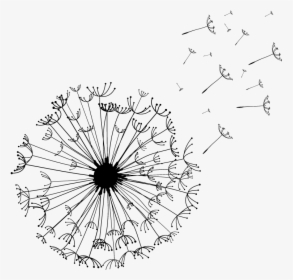 Backyardwishes Simplelogo Small - Line Art, HD Png Download, Free Download