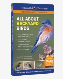 All About Backyard Birds - Western North America, HD Png Download, Free Download