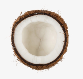 Coconut Oil , Png Download - Coconut Png Transparent, Png Download, Free Download