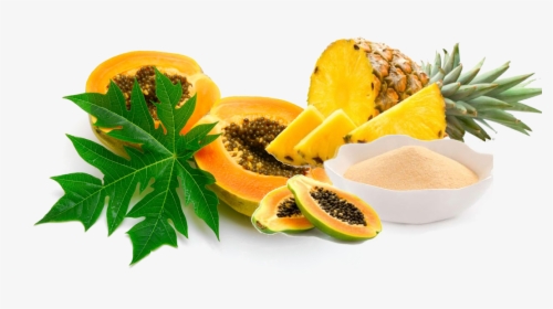 Natural Enzymes Manufacturers - Papaya Fruit With Leaf, HD Png Download, Free Download