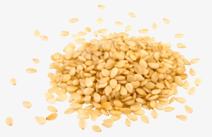 Sesame Seed No Background, HD Png Download, Free Download