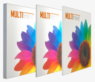 Multi Frame Alle 3 Profile - Sunflower, HD Png Download, Free Download