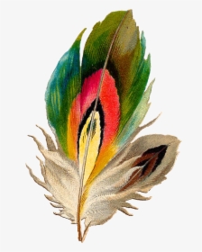 Feather Turning Into Birds - Bird Feather Colorful Png, Transparent Png, Free Download