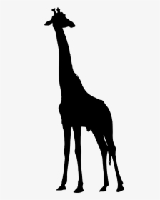 Giraffe Silhouette Clip Arts - African Giraffe Silhouette Png, Transparent Png, Free Download