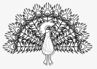 Peacock, Bird, Pheasant, Plumage, Feather, Colorful - Peacock Clip Art Png Black And White, Transparent Png, Free Download
