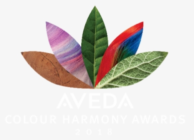 Colour Harmony Aveda, HD Png Download, Free Download