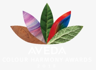 Aveda Logo PNG Images, Free Transparent Aveda Logo Download - KindPNG