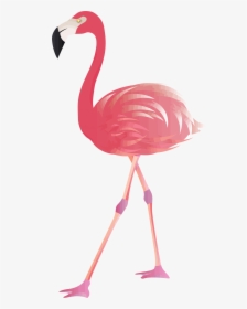 Transparent Background Pink Flamingo Clipart, HD Png Download, Free Download
