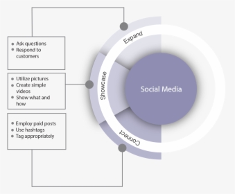 Social Media Background Png, Transparent Png, Free Download