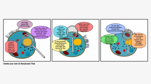 Organelles Storyboard, HD Png Download, Free Download