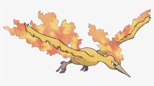 No Caption Provided - Pokemon Moltres Drawing, HD Png Download, Free Download