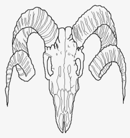 Collection Of Free Drawing Horns Ram Download On Ui - Transparent Horn Line Art, HD Png Download, Free Download