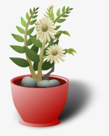 White Flower Pot Clip Arts - White Flower In White Pot Png, Transparent Png, Free Download