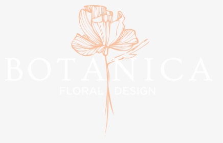 Botanica - Illustration, HD Png Download, Free Download