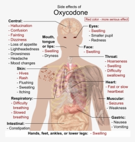 Oxycodone Effects, HD Png Download, Free Download